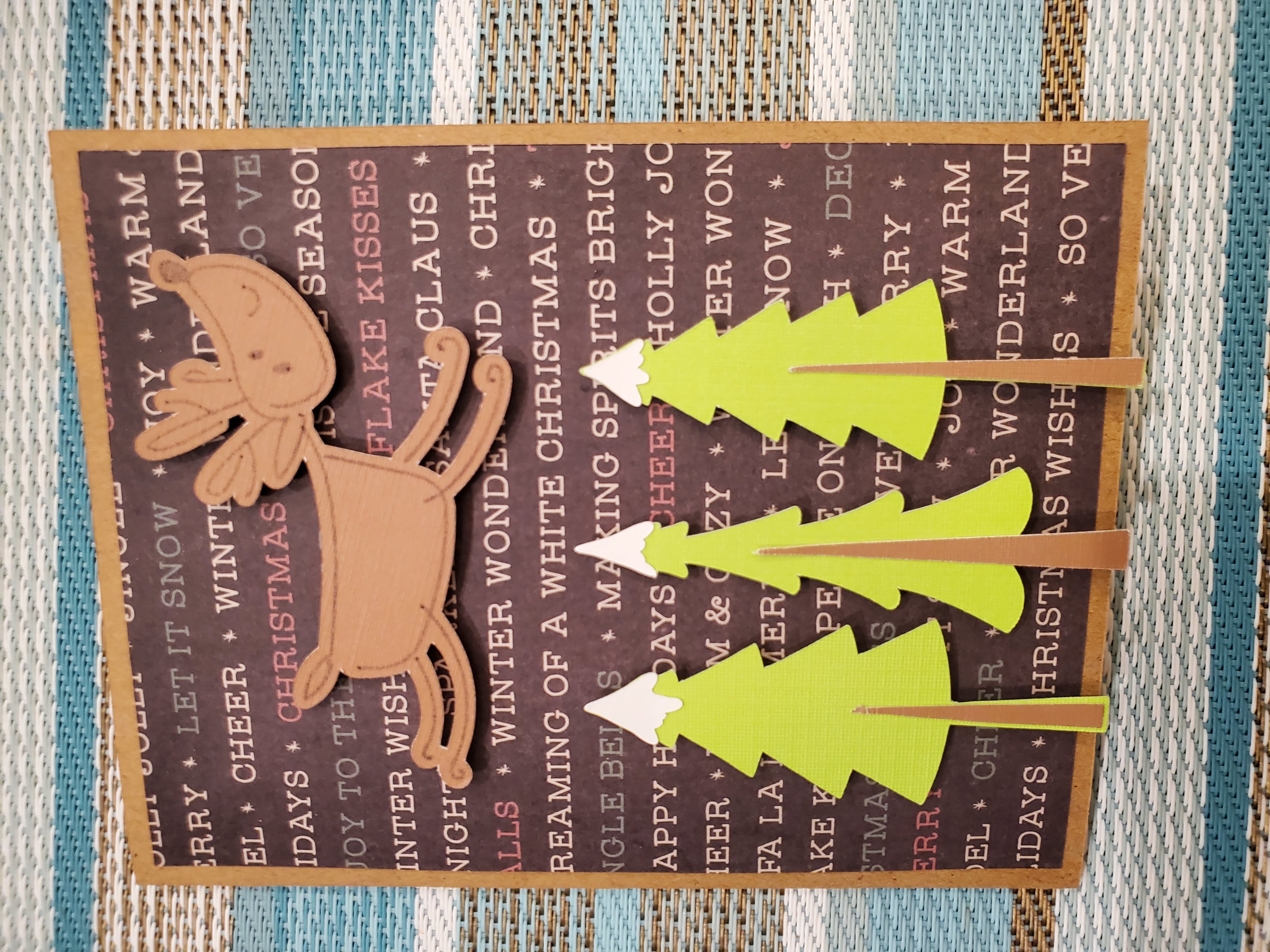 Reindeer